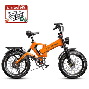 Cyber EK-6 PRO 48V25AH 40AH 100-120Miles 28MPH
