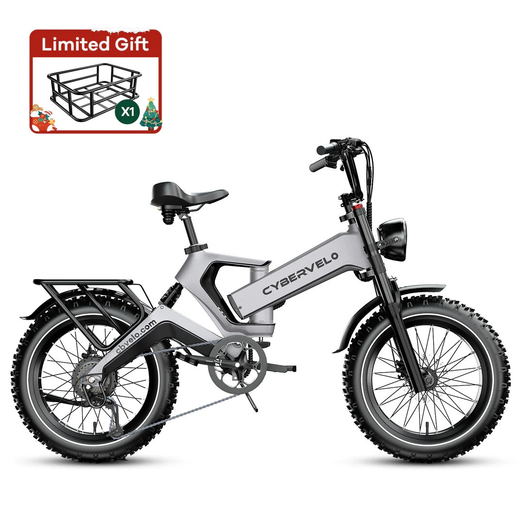 Cyber EK-6 PRO 48V25AH 40AH 100-120Miles 28MPH